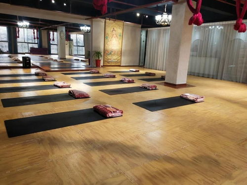 暖豐石墨烯電熱膜地暖 瑜伽館、養(yǎng)生館與健身房的應用優(yōu)勢及研發(fā)進展